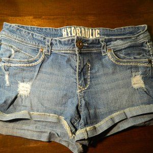 Hydraulic Distressed Shorts